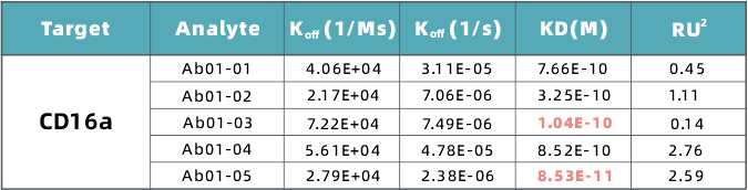 mamalian cell display 8