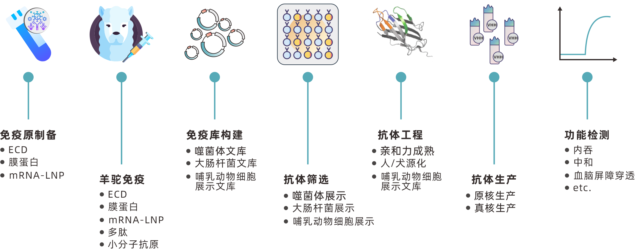 mammalian cell display 7