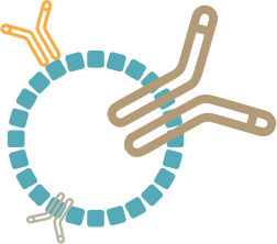 mrna icon4