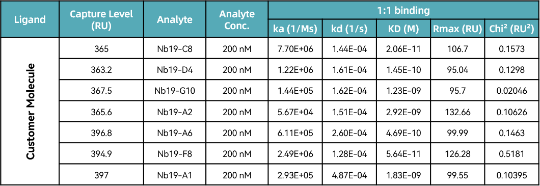 phage nanobody screen