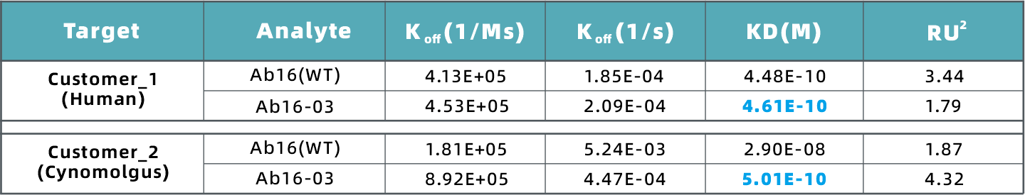 mamalian cell display 11