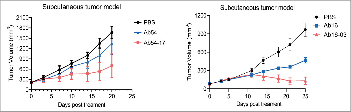 mamalian cell display 12