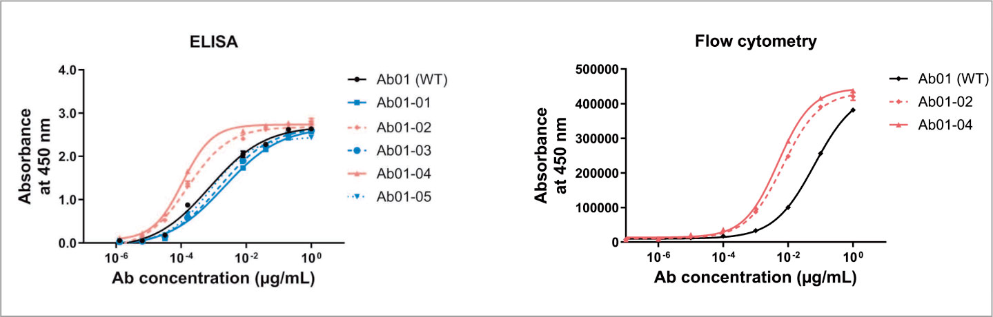 mamalian cell display 15