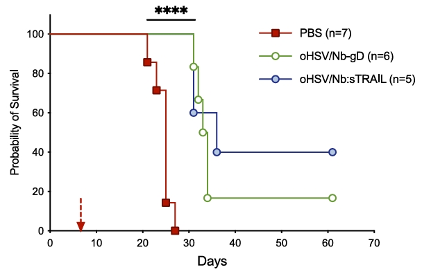 fig3b ohsvnbgd strail prolongation survival