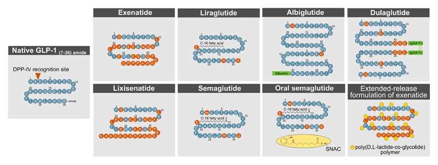 glp 1r nanobody pharmaceutical strategy 3