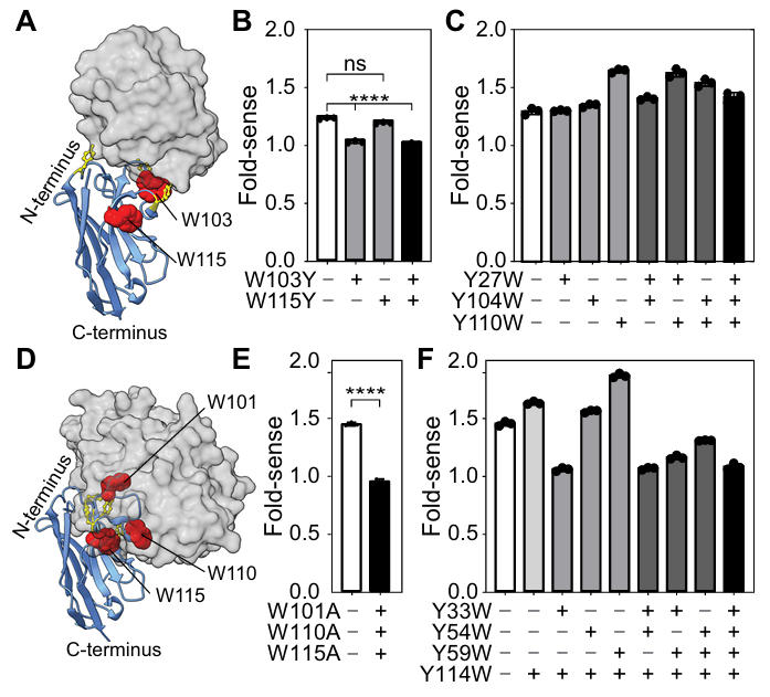 nb based quenchbodies fig 2