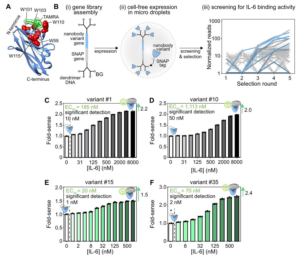 nb based quenchbodies fig 3