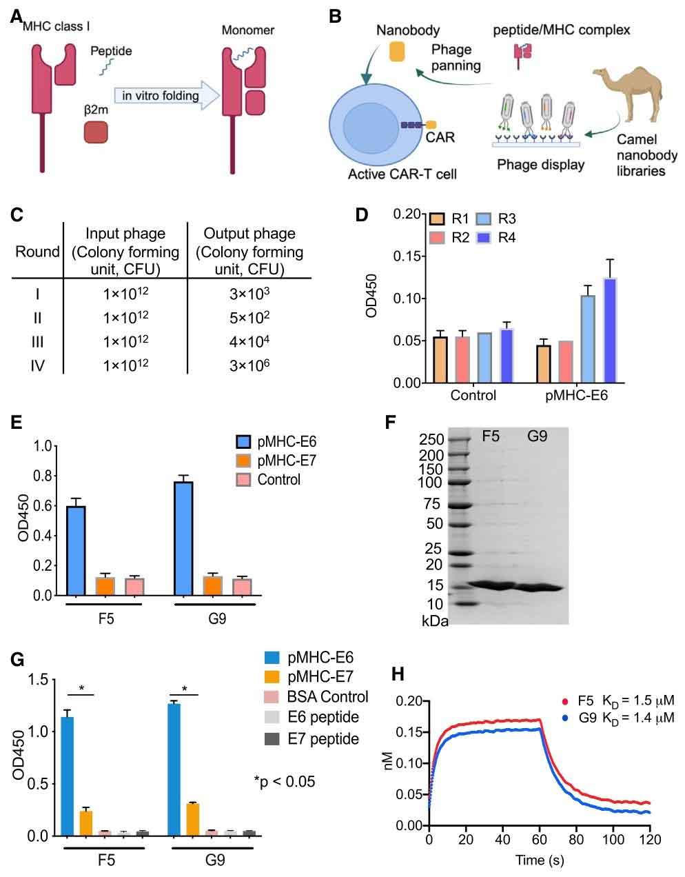 nb cart hpv16 e6 fig 1