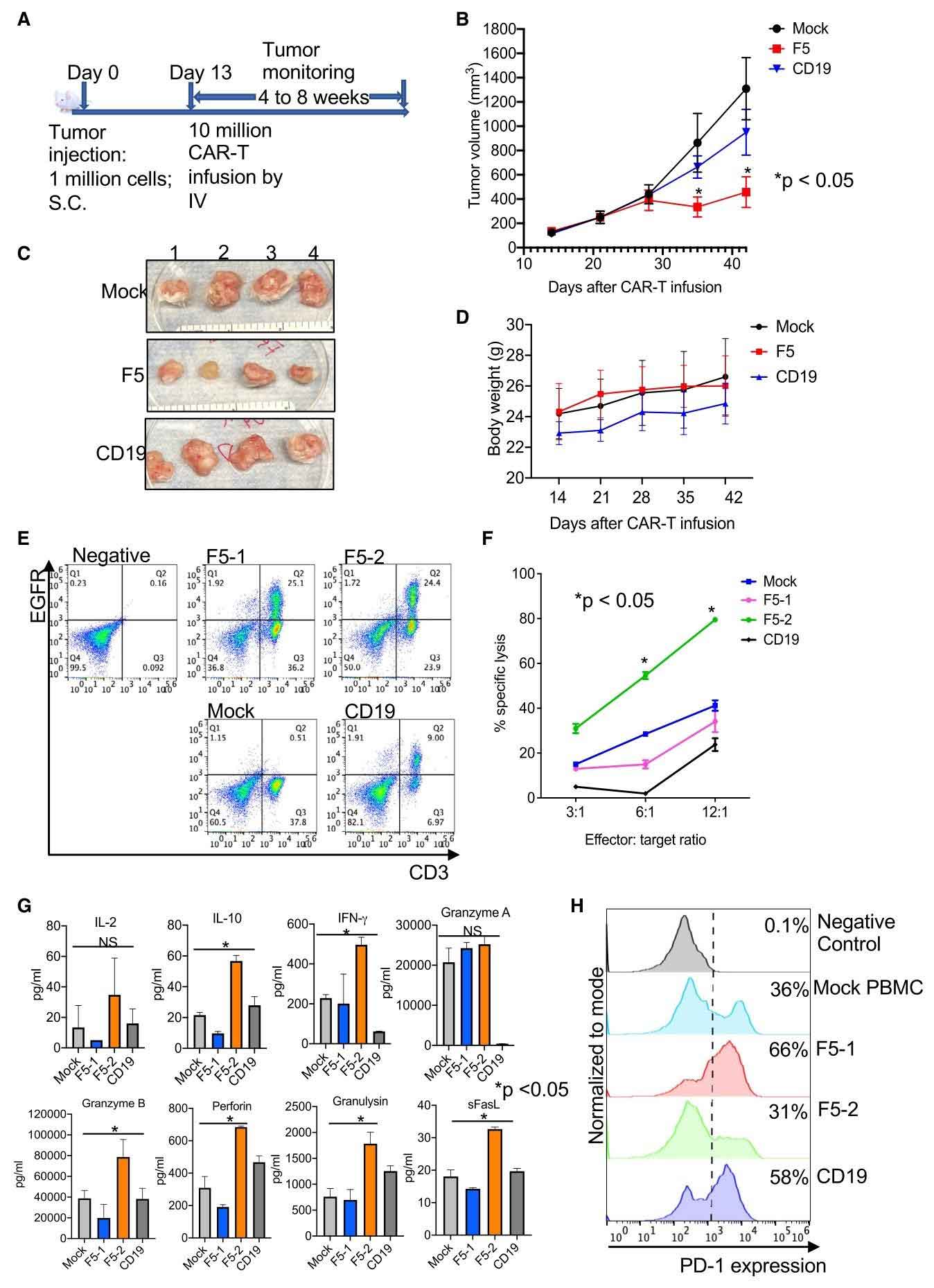 nb cart hpv16 e6 fig 4