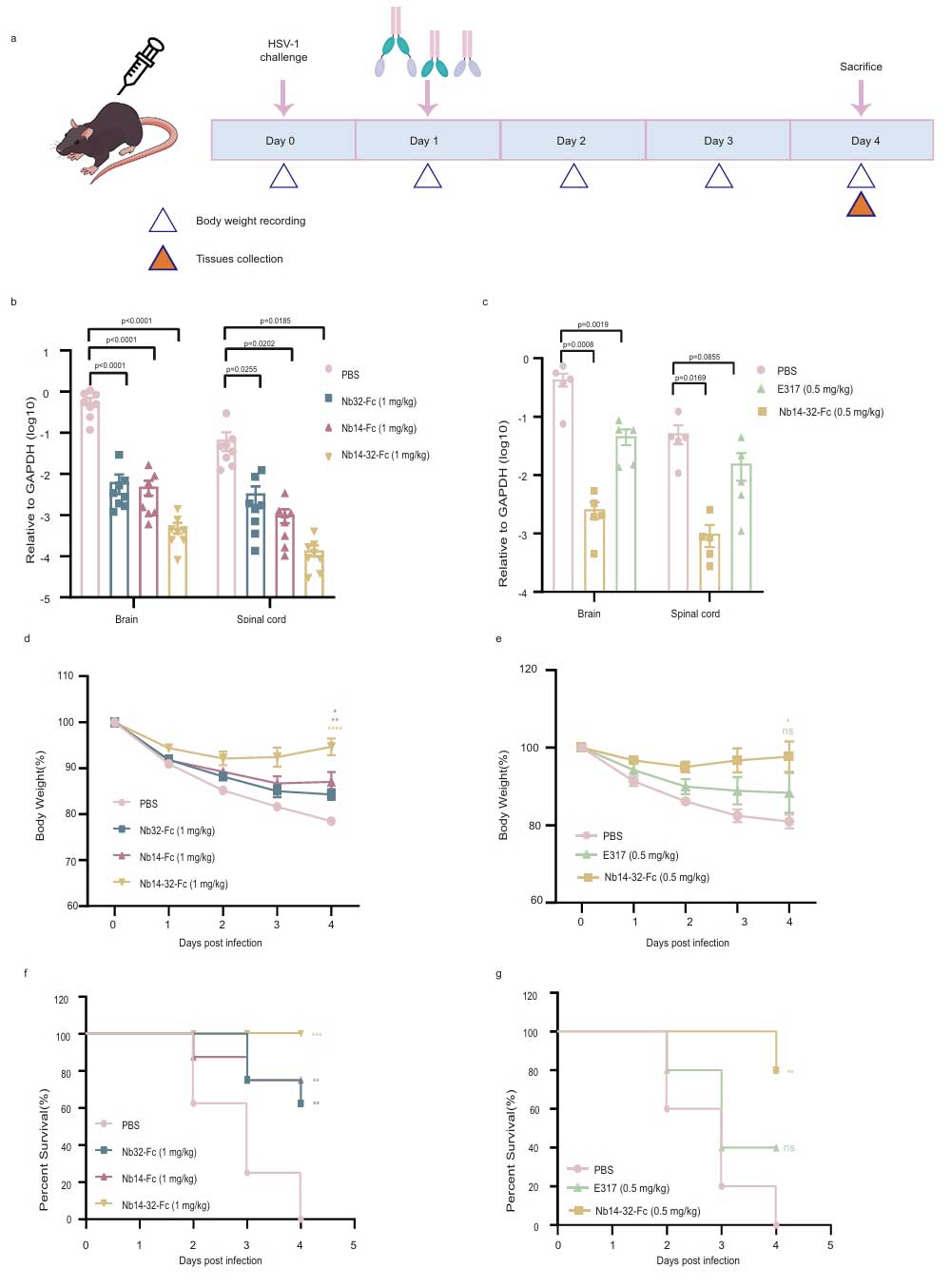 nb hsv fig 3
