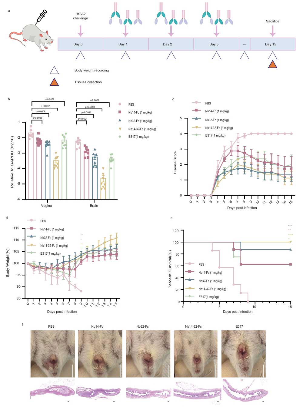 nb hsv fig 4