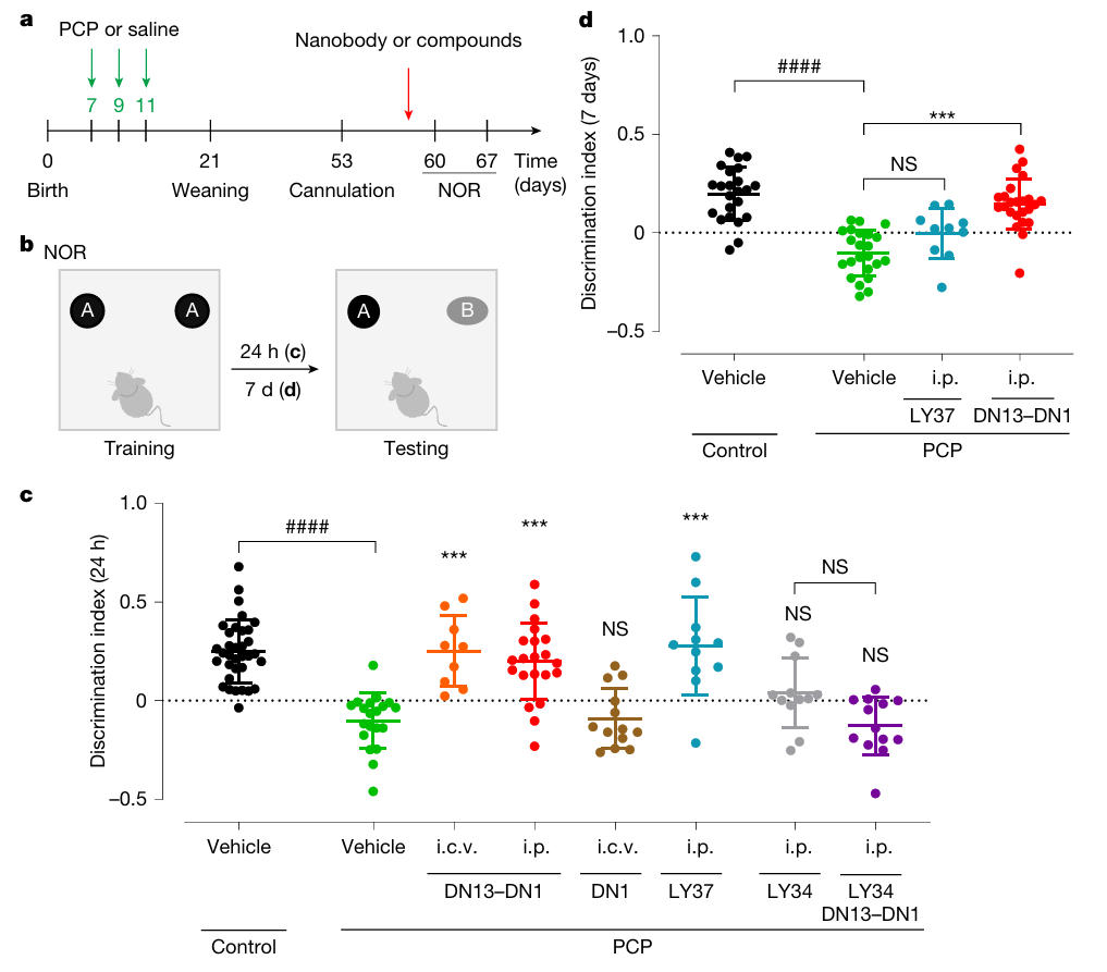 nb mglu nmda fig3