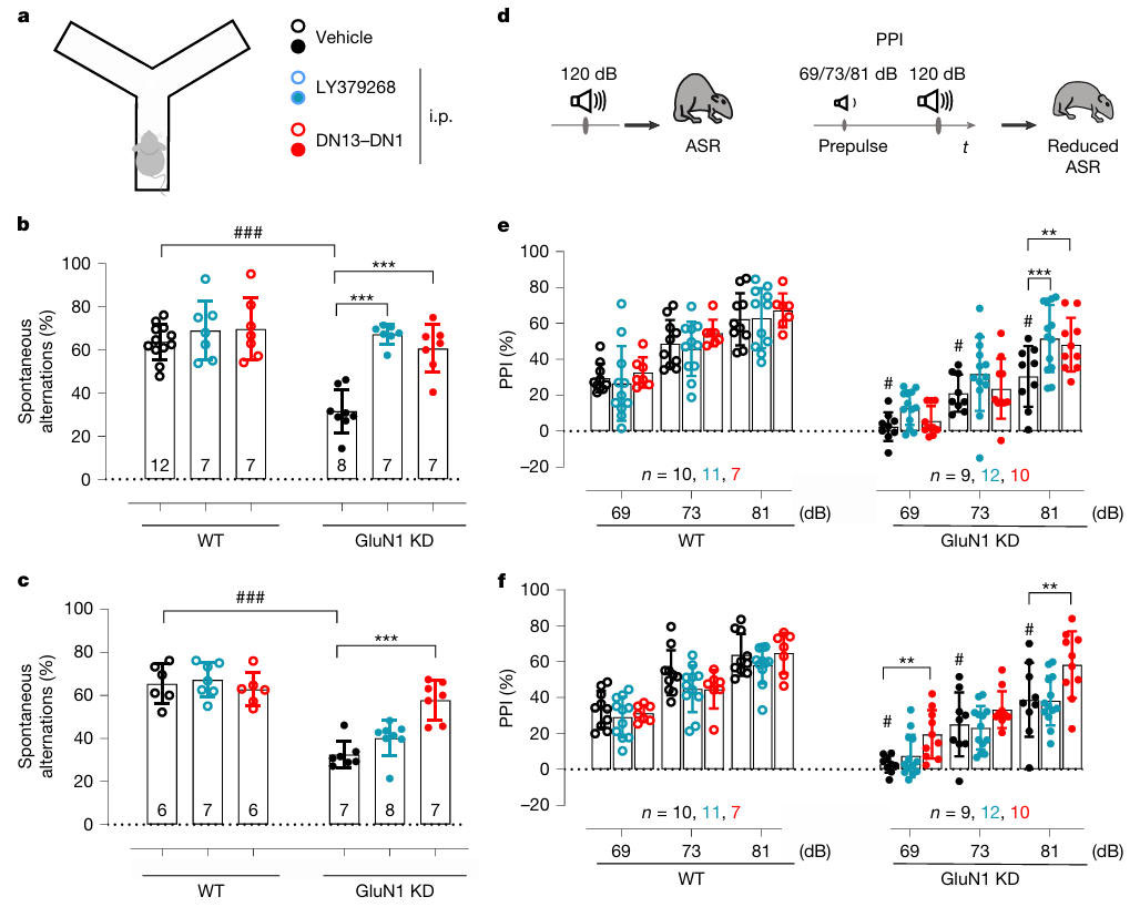 nb mglu nmda fig4