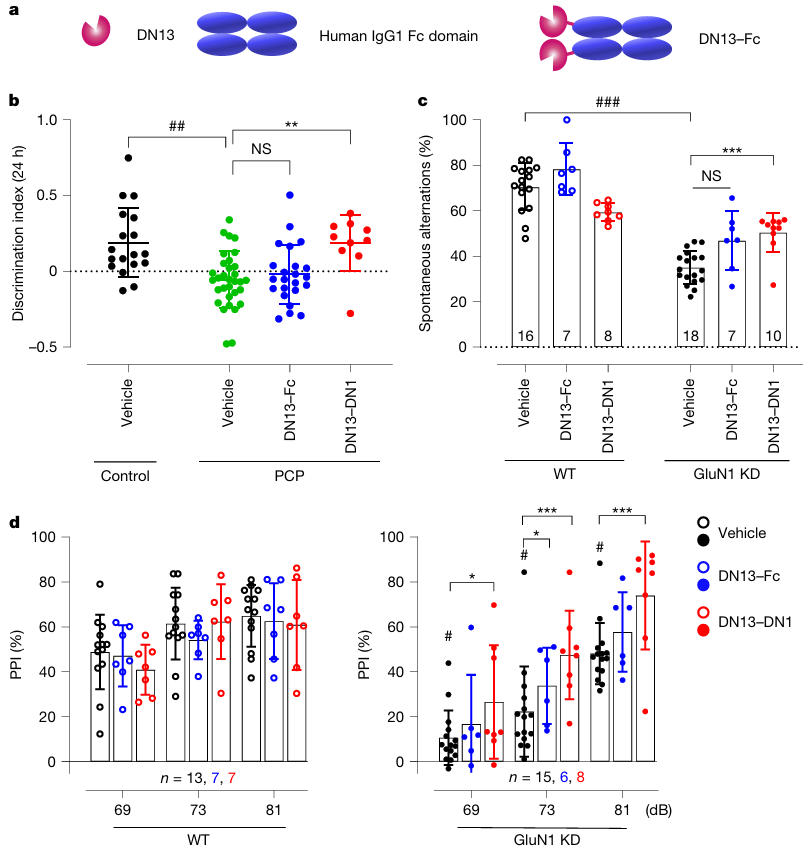 nb mglu nmda fig6