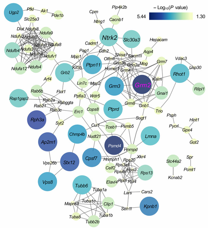 nb schizophrenia fig 1