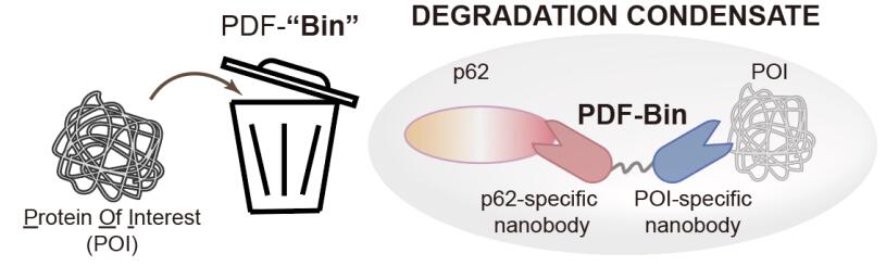 text part 3 pdf bin