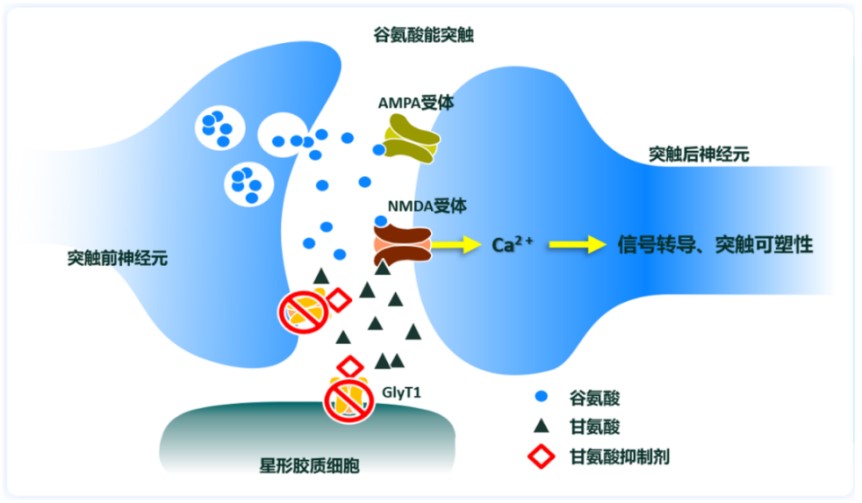 iclepertin action mechanism