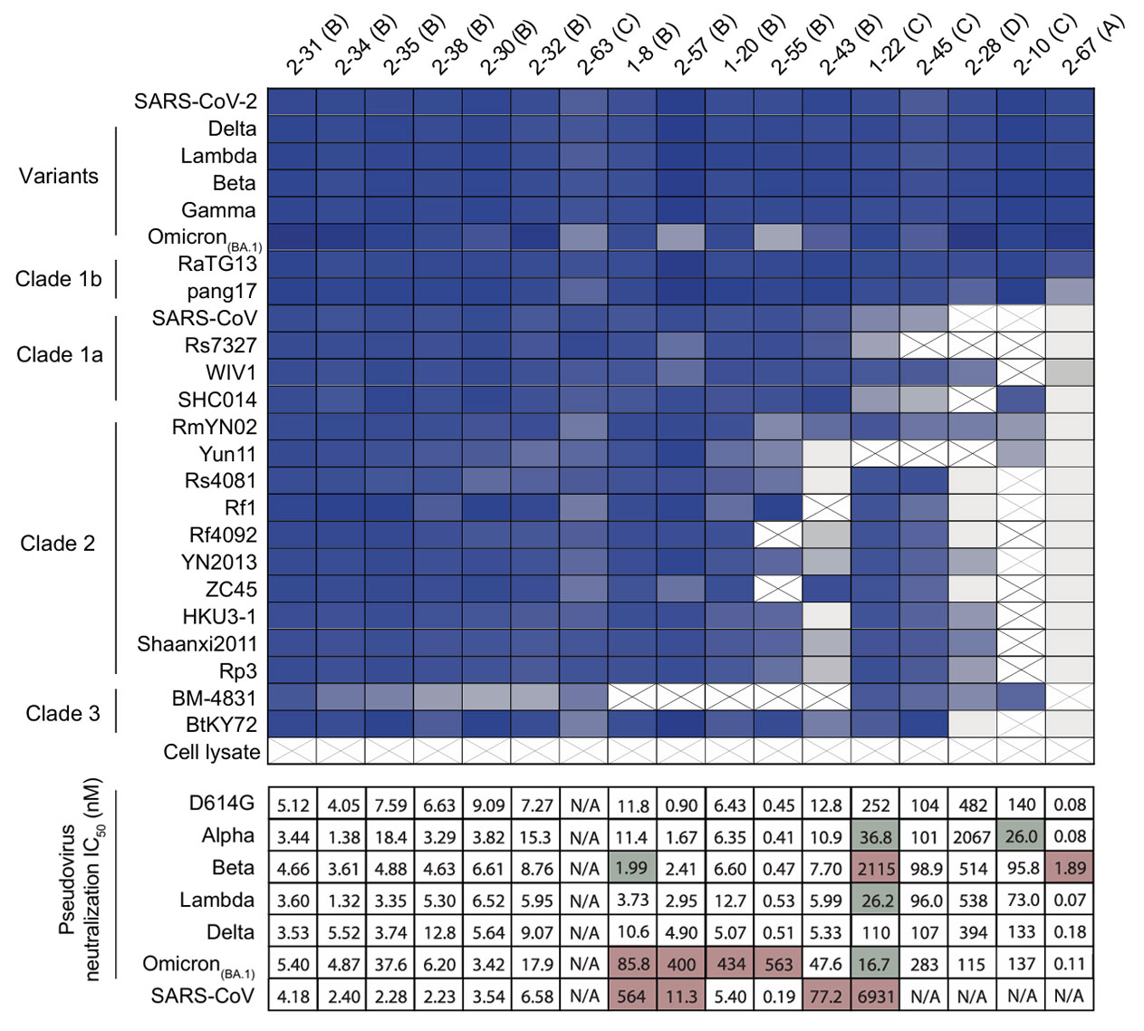 sarbeco psnbs fig 2