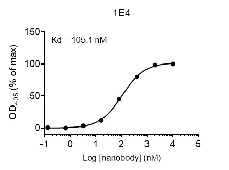 hpv 18 l1