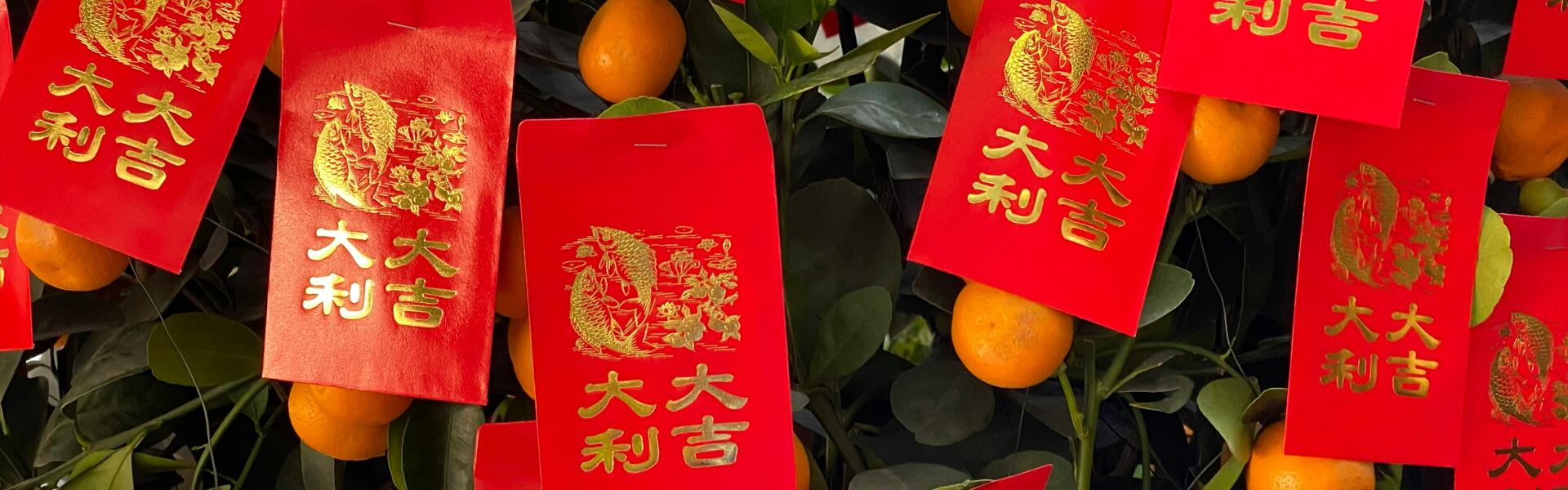 龙年启新，开工大吉!