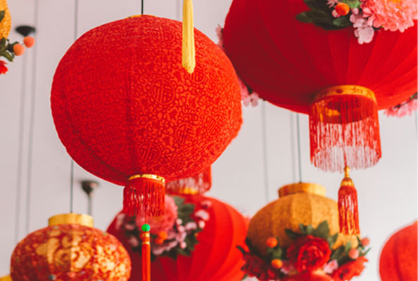 乙巳启新 · 灵蛇献瑞 · 纳米抗体绘蓝图