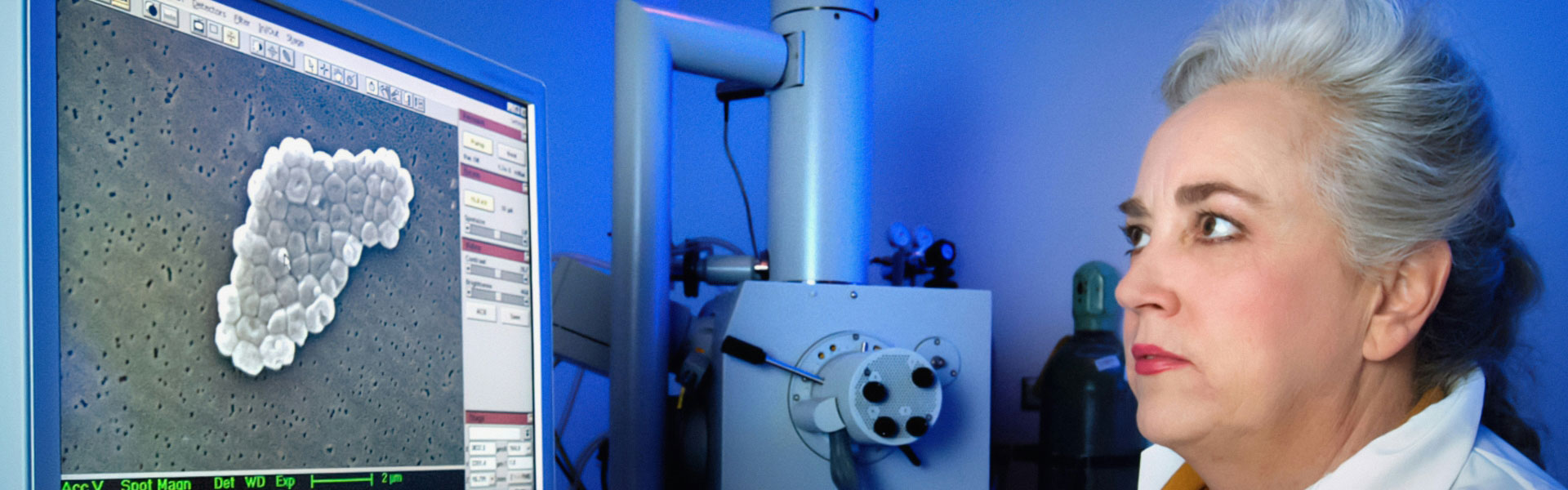 StaMimic：抗体药物分子靶点基因表达的创新技术