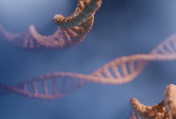 这种病毒竟有抗癌的作用？