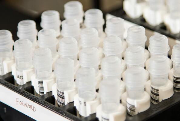 纳米抗体的市场现状与发展潜力