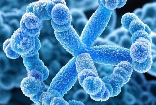 GZMK：多种疾病的潜在治疗靶点