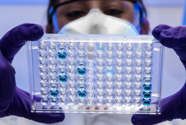 StaMimic：抗体药物分子靶点基因表达的创新技术