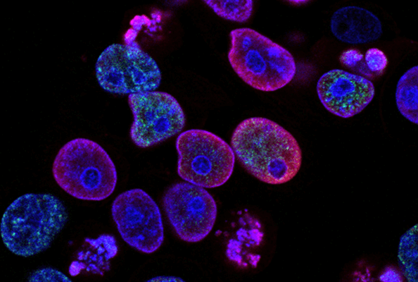 它也会揭开身体的奥秘！