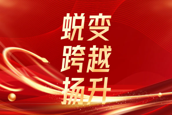 纳博生命2024年度总结暨2025年度计划会议圆满举行