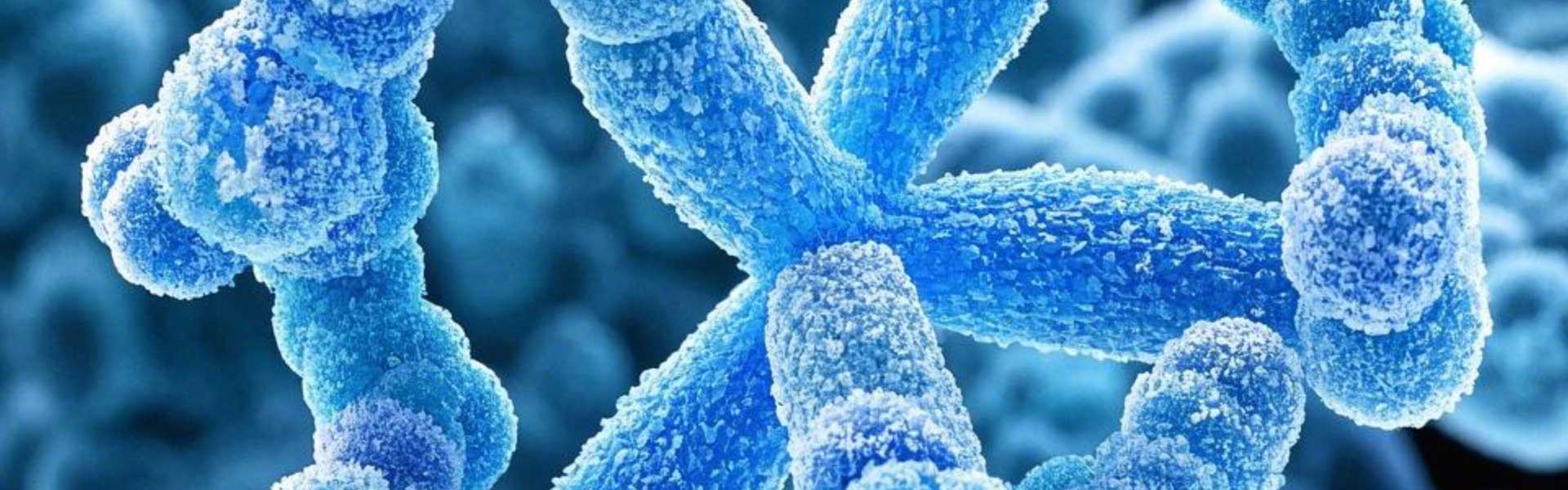 GZMK：多种疾病的潜在治疗靶点