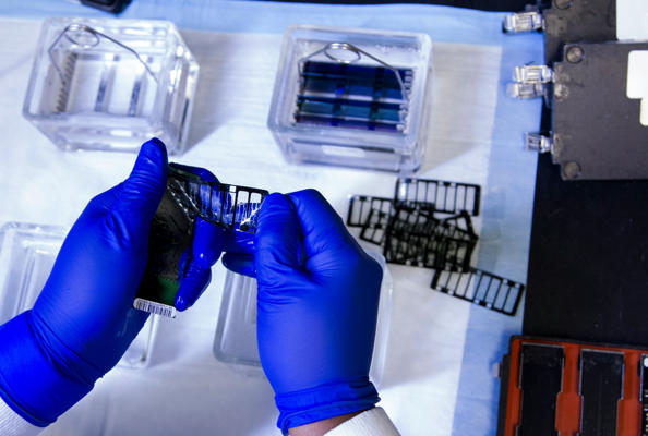 纳米抗体淬灭体：突破蛋白质检测瓶颈的新一代生物传感器