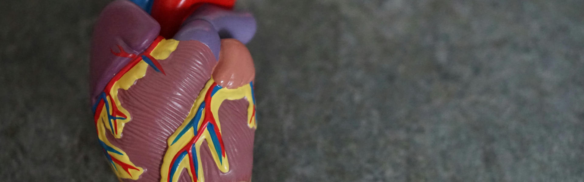 纳米抗体解锁血管紧张素受体激活机制，开辟GPCR结构研究新路径