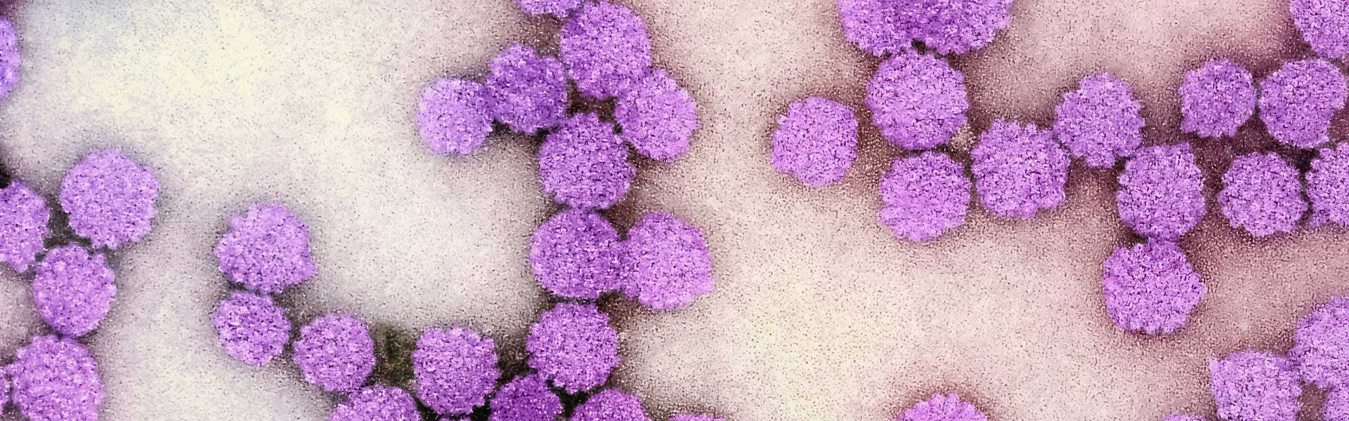 宫颈癌治疗新纪元：基于纳米抗体CAR-T疗法突破实体瘤治疗瓶颈