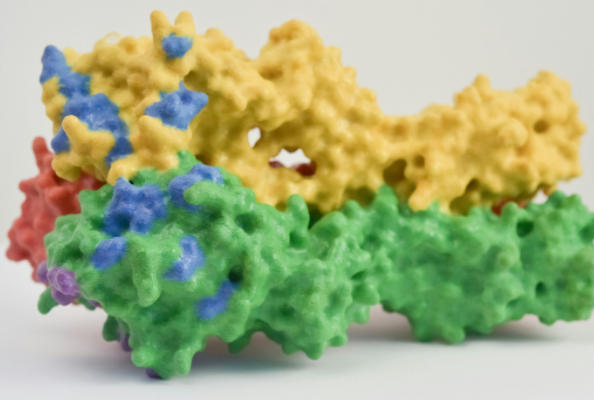 纳博生命免疫文库：赋能TSLP抗体药物开发