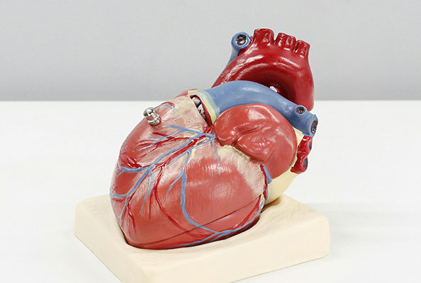 纳米抗体新突破：精准调控蛋白质翻译后修饰