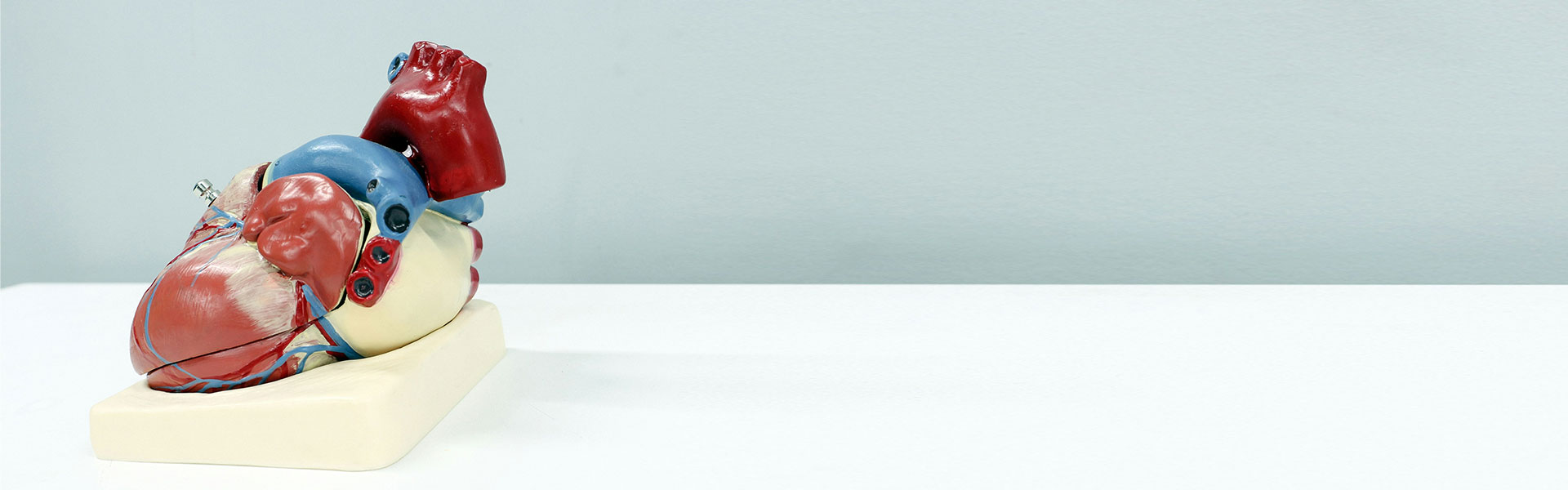 纳米抗体新突破：精准调控蛋白质翻译后修饰